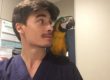 dr pol sarquella