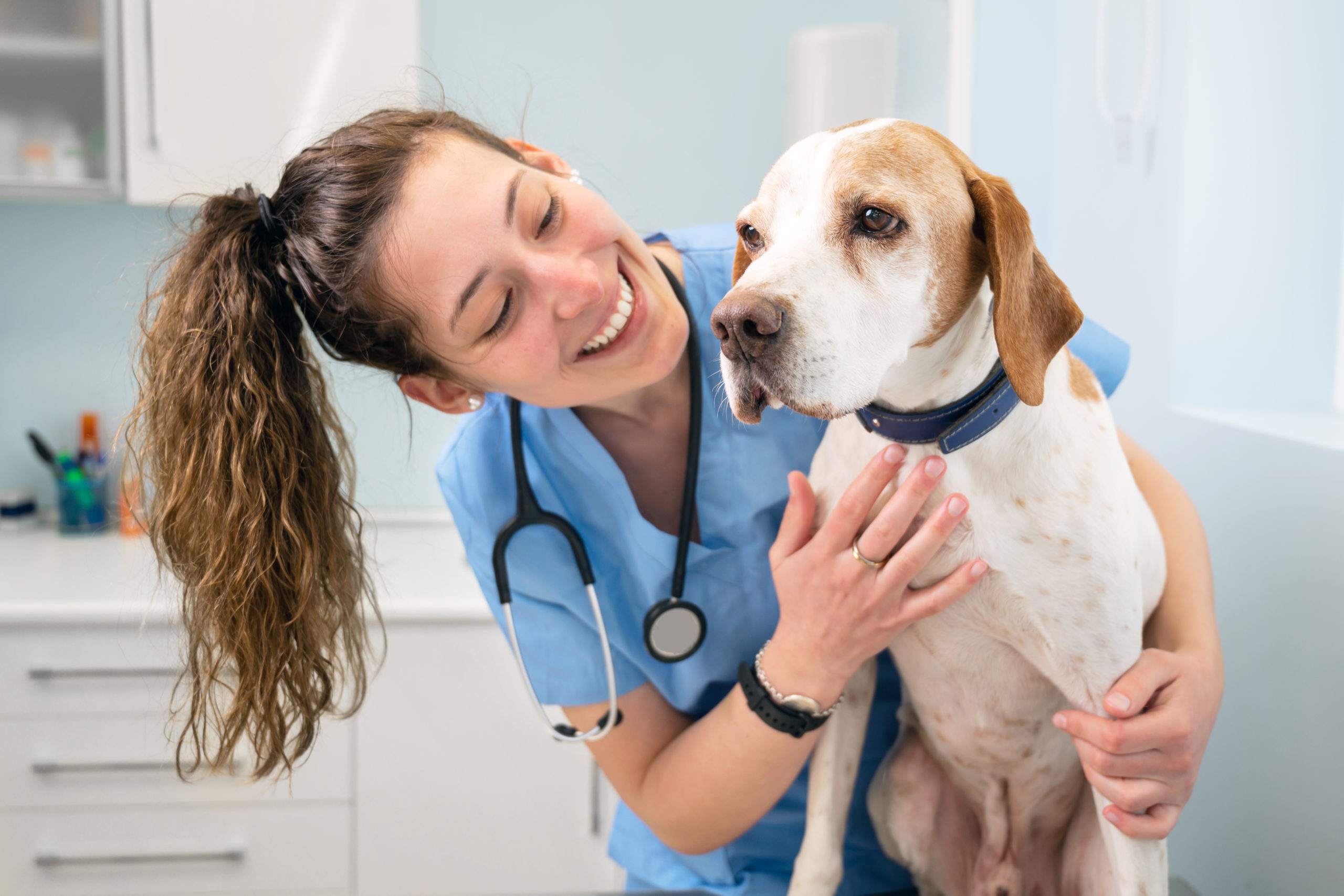 Designing the Veterinary Hospital of the future: empowering women