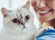 Burnout and Compassion Fatigue in Vet Nursing Assistants